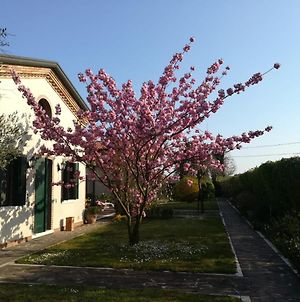 Hôtel Casa Pianta à Cavallino-Treporti Exterior photo