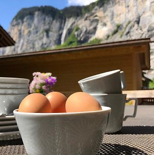 Appartement Clean And Comfy With Garden Terrace And Parking à Lauterbrunnen Exterior photo