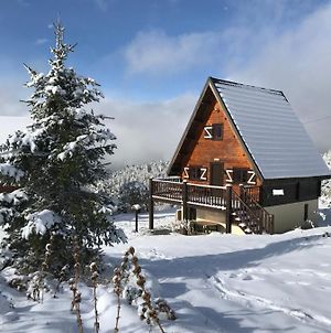 Chalet les Dalmatiens Station de ski de Camurac Exterior photo