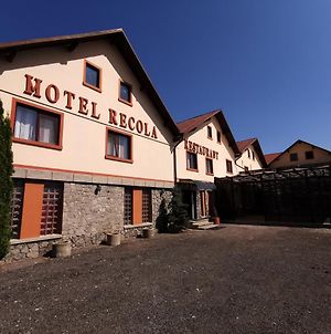Motel International Recola à Băneşti Exterior photo