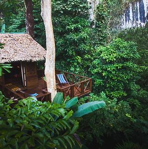 Hôtel Our Jungle House à Khao Sok National Park Exterior photo