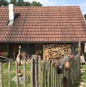 Villa Getreidekasten Auf Einer Lamafarm à Oberndorf an der Melk Exterior photo