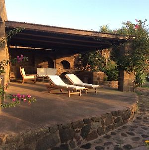 Villa Dammuso Degli Ulivi à Pantelleria Island Exterior photo