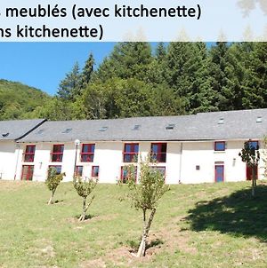 Gîte du Haut Cantal - Meublés avec kitchenette et chambres sans kitchenette Condat  Exterior photo