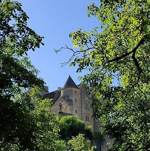 Petite maison en pierre au coeur du Périgord noir proche de Sarlat et Rocamadour Salignac Eyvigues Exterior photo