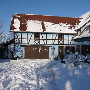 Le Gîte bleu Willgottheim Exterior photo
