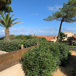 Mini villa climatisée - Vue mer - Mer à 50 m - Jardin et 2 terrasses 300 m2 Lumio  Exterior photo