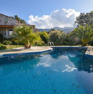 Awesome Home In Petreto Bicchisano With 2 Bedrooms, Wifi And Swimming Pool Exterior photo