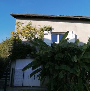 Appartement Le Grenier de Gaston à Thouars-sur-Garonne Exterior photo