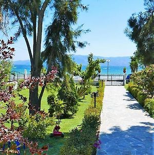 Villa Amarynthos Beachfront Vacation House With Garden à Vatheia Exterior photo