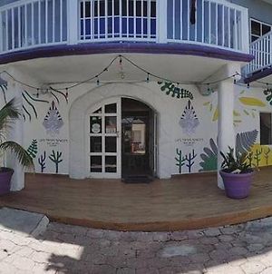 Les trois singes - Friendly Hostel Isla Mujeres Exterior photo