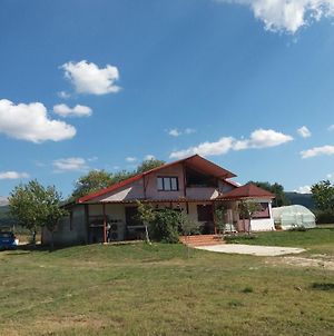 Appartement Rural Hοuse à Kastritsa Exterior photo