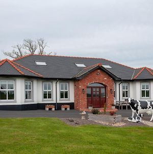 Creeghduff Lodge Downpatrick Exterior photo