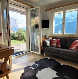 Appartement Chalet Sulegg - Valley Views Wengen With Terrace Exterior photo