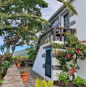 Villa Casa Do Gato Preto à Santo Amaro  Exterior photo