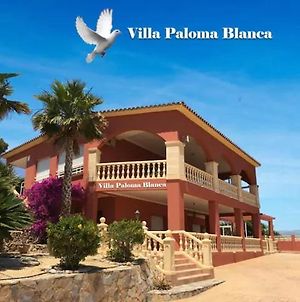Villa Paloma Blanca El Albir Exterior photo