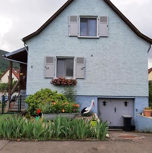 Gîte les chiwawas d'Alsace Kaysersberg-Vignoble Exterior photo