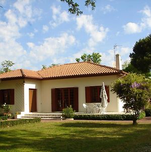 Une maison avec jardin pour un séjour à Oléron Dolus-d'Oléron Exterior photo