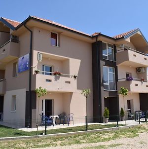 Appartement Srebrna Nit à Veliko Gradište Exterior photo