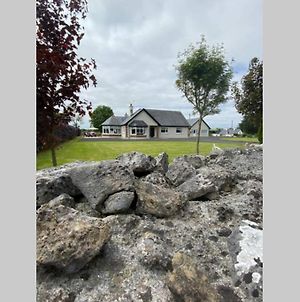 Villa Breathneach House à Limerick Junction Exterior photo