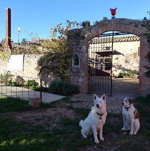 Mas Del Llop Blanc - Dog Friendly Hostal Rural - B&B Sobrestany Exterior photo
