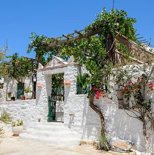 Villa Itonia House à Amorgos Exterior photo