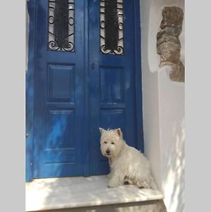 Villa Blue & White: An Absolute Aegean Dream House à Galini  Exterior photo