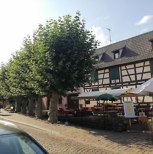 Gites Aux Fines Bulles d'Alsace Bergheim Exterior photo