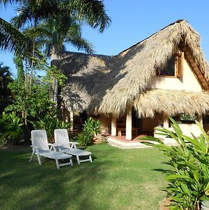 Villa Palm-Covered House In The Tropical -Casa Oli à Las Galeras Exterior photo