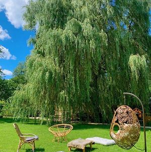 Villa Pool house et son grand jardin, calme et nature aux portes du Morvan à Sermizelles Exterior photo