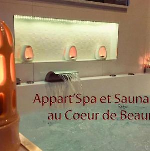 Appart' Spa et Sauna Privatif Au Cœur De Beaune Beaune  Exterior photo