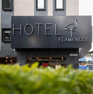 Hotel Flamencos Mexico Exterior photo