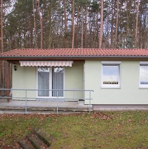 Villa Ferienhaus Charlotte à Feldberger Seenlandschaft Exterior photo