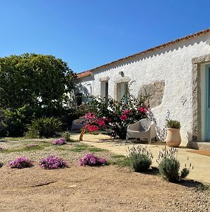 Villa Massidda Country Retreat à Santa Teresa Gallura Exterior photo