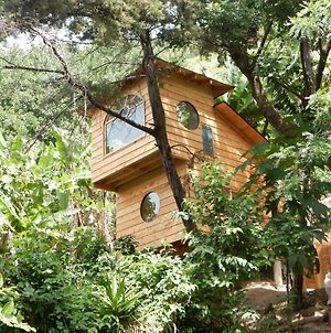Villa Treehouse Retreat - Glamping Plus à Santa Cruz La Laguna Exterior photo