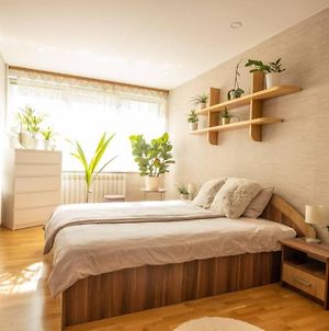 Beautiful&spacious apartment in Valmiera Exterior photo