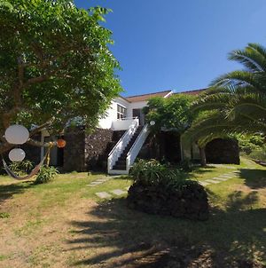 Villa Epicenter Pico à Madalena  Exterior photo