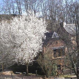 Villa grange rénovée en pleine nature à Valady Exterior photo