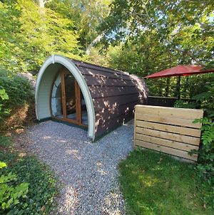 Priory Glamping Pods And Guest Accommodation Killarney Exterior photo