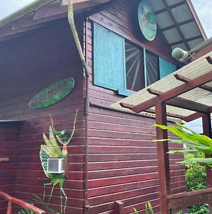 Bed and Breakfast Free Spirit Oasis à Bocas del Toro Exterior photo