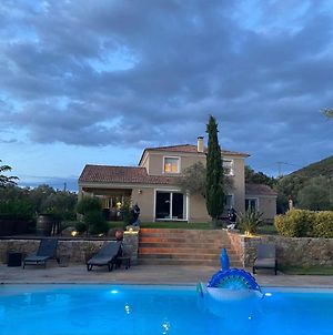 Très belle villa piscine jacuzzi grande propriété Belgodère Exterior photo