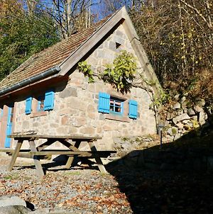 Villa Ancienne petite marcairerie de montagne rénovée cadre rustique à Soultzeren Exterior photo