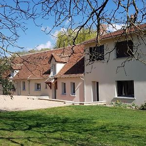 Villa Maison de vacances A l'Ombre du Saule à côté du Zoo de Beauval et Châteaux de la Loire à Selles-sur-Cher Exterior photo