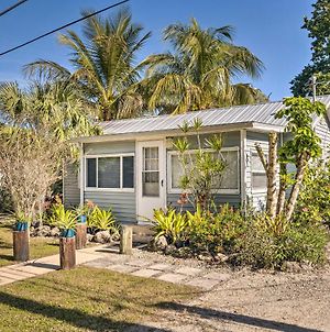 Tropical Port Charlotte Cottage - Walk To Bay! Exterior photo