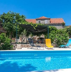 Villa Vanalucie, Rural Villa With Private Pool Near Dubrovnik Gruda Exterior photo
