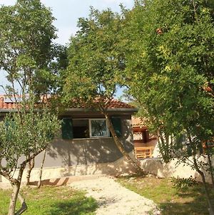 Villa Robinson House In Okrug Gornji With Sea View, Terrace 4452-1 Exterior photo