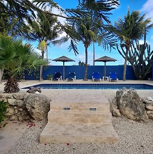 Caribbean Chillout Apartments Playa Exterior photo
