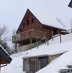 Villa Chalet montagnard Perce Neige avec terrasse plein sud-5 personnes à Murat-le-Quaire Exterior photo