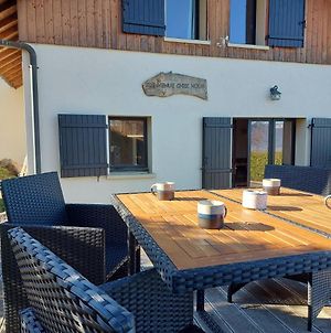Villa Entre lac et montagne, chaleureuse maison 3 pièces avec très belle vue lac d'Annecy. Terrasse, jardin, parking, cheminée, barbecue …. à Saint-Jorioz Exterior photo