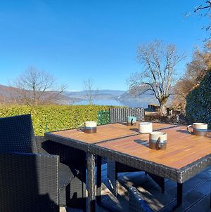 Entre lac et montagne, chaleureuse maison 3 pièces avec très belle vue lac d'Annecy. Terrasse, jardin, parking, cheminée, barbecue …. Saint-Jorioz Exterior photo